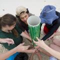 A group participating in beach team games