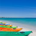 A row of kayaks on the beach