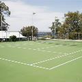 Tennis court