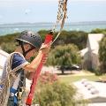 flying-fox-disembarking-woodman-point-open-day-2018